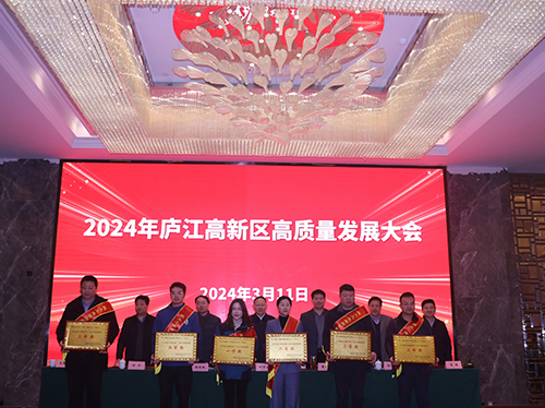 【喜報】德科電氣榮獲2023年廬江高新區企業高質量發展一等獎!
